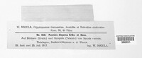 Puccinia dispersa image
